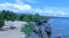 Geschlossener Komplx mit Bauland auf den Philippinen