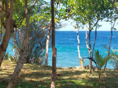 Geschlossener Komplx mit Bauland auf den Philippinen