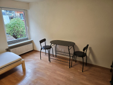 Frisch renoviertesStudio im Zentrum von Steckborn TG zu vermieten