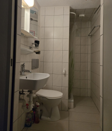 Frisch renoviertesStudio im Zentrum von Steckborn TG zu vermieten