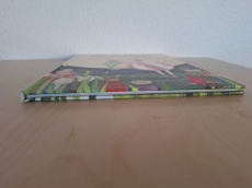 Der Froschprinz KVACK! Kinderbuch