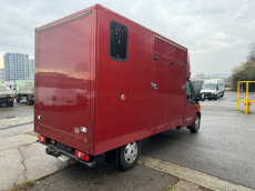 FORD Transit 4x4 Pferdetransporter