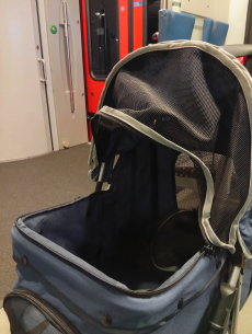 Kinderwagen für Kleine Hunde