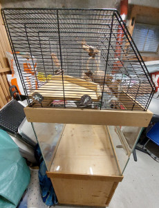 Kleintierkäfig Selbstgebaut 