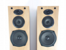 Pioneer Hifi Standlautsprecher 