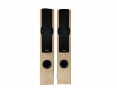 Pioneer Hifi Standlautsprecher 