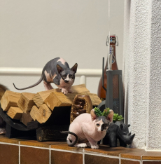 Wunderschöne reinrassige Sphynx-Elf Katzen