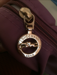 Original Longchamp Hobo Bag
