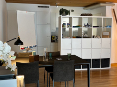 Praxis-/Übungsraum zu Untermiete in Horgen