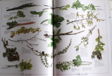 Zauberhafte Bouquets