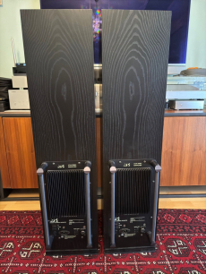 ATC SCM20ASLT Aktiver Standlautsprecher 