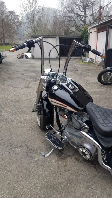 HARLEY-DAVIDSON FLSTI Softail Heritage