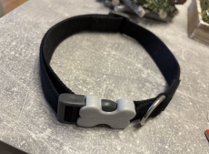 Neu Hundehalsband RedDingo schwarz