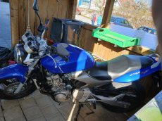 Honda CB 600 F Hornet