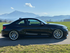 BMW M2 Swiss Performance Edition Drivelogic