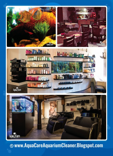 AQUA CARE / AQUARIUM REINIGUNG ZURICH
