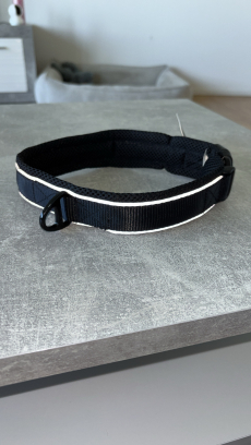 Neues Hundehalsband Größe XXL (55–60 cm)