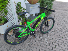 Totem Signal X E Mountainbike Herren 