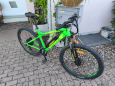 Totem Signal X E Mountainbike Herren 