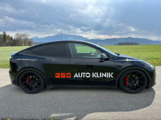 TESLA Performance
