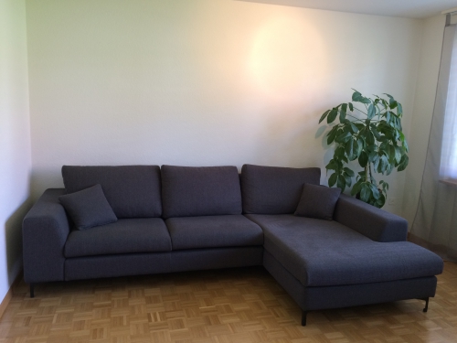 Sofa Stoff Grau