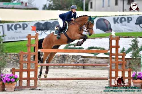 Springunterricht auf eigenem Pferd & Beritt von Springpferden