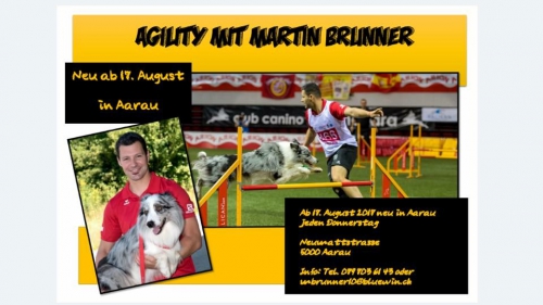 Agility / Training 