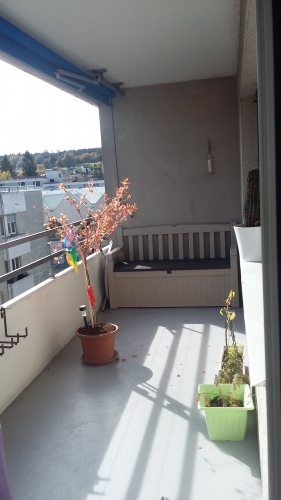 Schöne 3 Zimmerwohnung mit grosser Balkon