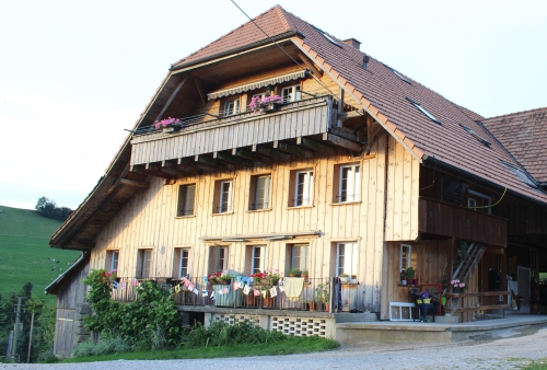 Helle,heimelige 31/2 Zimmer-Dachwohnung