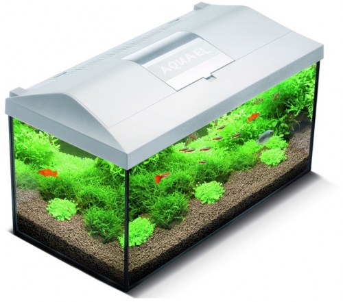 Aquael Aquarienset Leddy 60 weiss, LED, NEU, W'thur, CHF 75