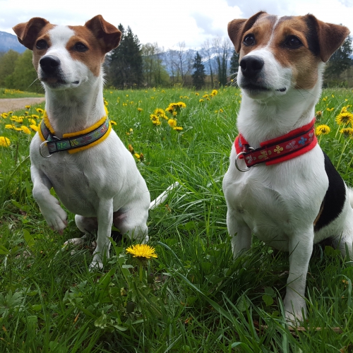 Hundehalsbänder, Handarbeit