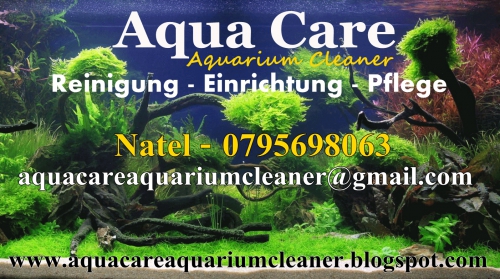 Aqua Care / Aquarium Reinigung