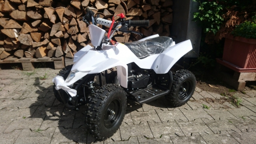 Mini Quad 49ccm 