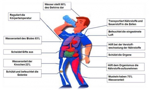 Wasser-Vortrag