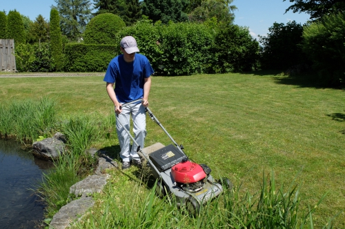 Brauchen Sie Hilfe im Haushalt oder Garten? 