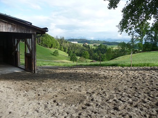 Freie Plätze in Pferde-Laufstall