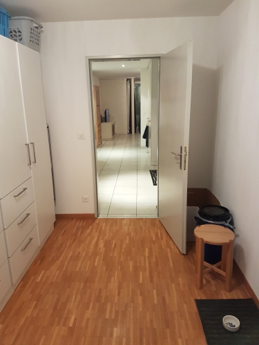 Nachmieter gesucht für 3.5-Zimmer Wohnung an ruhiger Lage