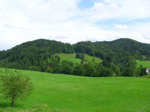 2,5 Zimmer mit traumhafter Aussicht in WG auf dem Land