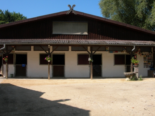 Freie Boxen auf dem Pferdedressurhof Teufental