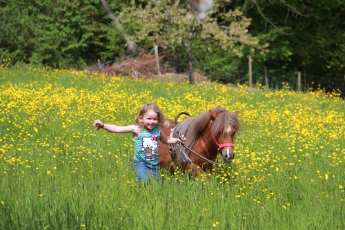 Pony Erlebniss für Mutter und Kind auf dem Elfenhof