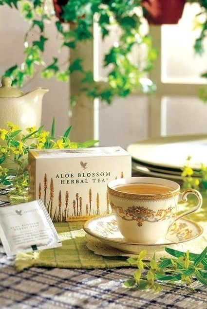 Aloe Blossom Herbal Tea®