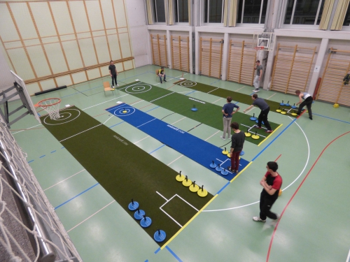 Curling/Eisstockschiessen OHNE Eis. Mobile Bahnen+Shuffleboard