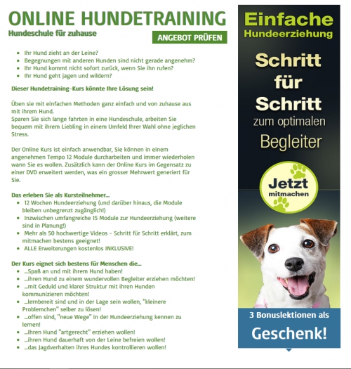 Online Hundetraining / Hundeschule für zuhause