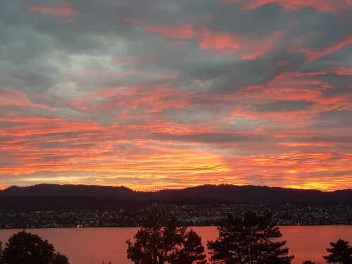 Nachmieter gesucht Nähe Zürichsee an der Goldküste