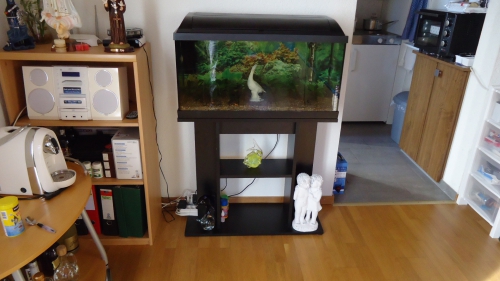 AQUARIUM 110 LITER MIT UNTERSCHRANK