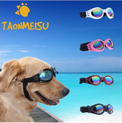 Weisse Sonnenbrille für Hunde