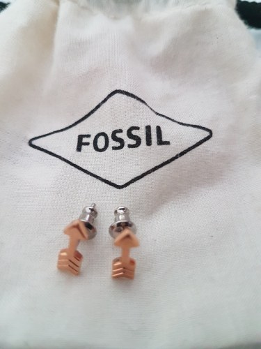 Fossil Ohrstecker