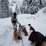 Ebnat-Kappel Hundepension Neueröffnung!