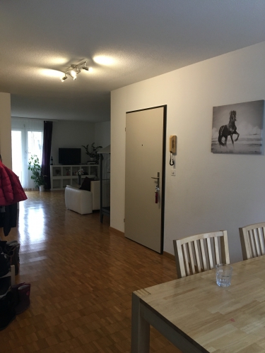 4,5 Zimmer Wohnung in Buchs zu vermieten!