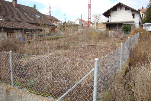 5 Zimmer Einfamilienhaus in 3206 Wallenbuch